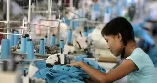 講一個(gè)扎心的真相 國家一直都在照顧底層,而底層卻在天天罵國家