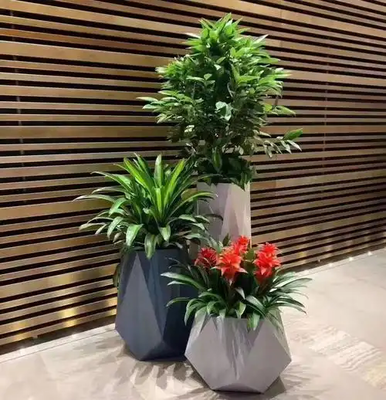 杭州綠植租賃-浙大團隊品質(zhì)保障，花卉綠植租借一體化服務